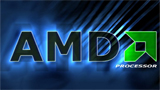 El 2013 será el año de AMD, según analísta
