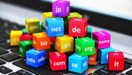 Artículo: Los nombres de dominio en Internet ¿contienen información pública o privada?